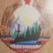 D1 - Magnet frigider - tematica comunism - stema RSR - Romania 27