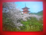 HOPCT 5262 PAGODA KIYOMIZU KYOTO . -JAPONIA -ASIA-NECIRCULATA, Printata