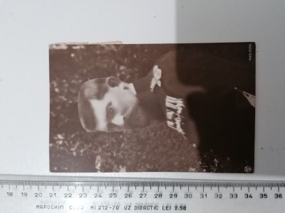 CARTE POSTALA REGELE FERDINAND foto