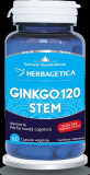 Ginkgo 120 stem 60cps vegetale, Herbagetica