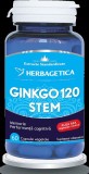 GINKGO 120 STEM 60CPS VEGETALE