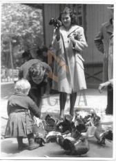 FOTO, WILLY PRAGHER , PORUMBEI IN BUCURESTI foto