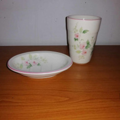 Set vintage de baie sapuniera si pahar Burleigh Ironstone Staffordshire Anglia