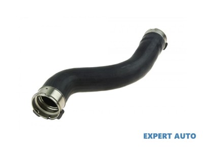 Furtun admisie Mercedes E-Class (2010-&amp;gt;) [A207] #1 foto