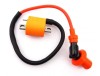 Bobina Inductie Sport Scuter PGO Rodoshow 49cc 50cc 80cc 2T TMMP