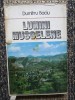 Dumitru Baciu - Lumini Muscelene