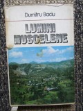 Dumitru Baciu - Lumini Muscelene