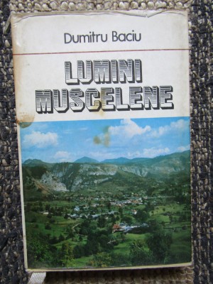 Dumitru Baciu - Lumini Muscelene foto