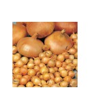 Bulbi Ceapa/Arpagic galben &#039;Stuttgarter Riessen&#039;, 1kg, Oem