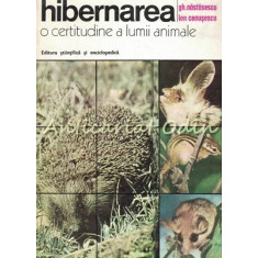 Hibernarea - O Certitudine A Lumii Animale - Gheorghe Nastasescu