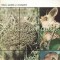 Hibernarea - O Certitudine A Lumii Animale - Gheorghe Nastasescu
