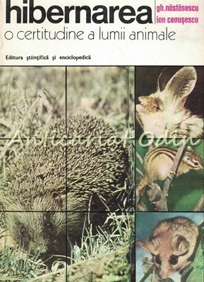 Hibernarea - O Certitudine A Lumii Animale - Gheorghe Nastasescu