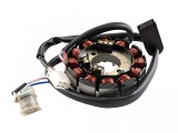 Stator Minarelli AM6 2007/Aprilia MX 50/Beta RR/MBK X/Peugeot XPS/Yamaha, Revo