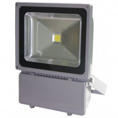 Proiector cu LED, 100 W, ECO LED, Gri foto