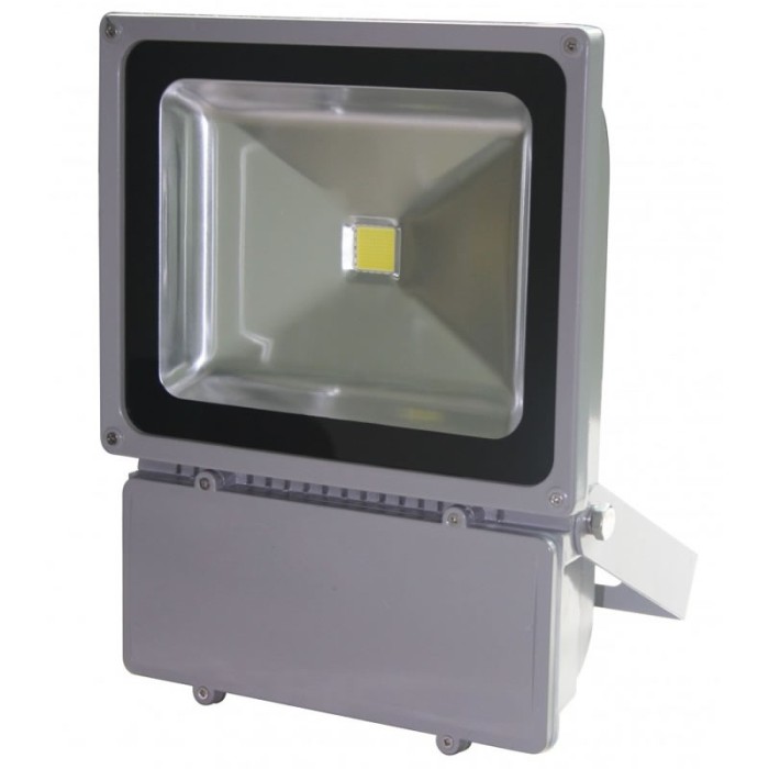 Proiector cu LED, 100 W, ECO LED, Gri Proiector cu LED, 100 W, ECO LED, Gri