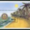 NEVIS 1995 ORGANIZATII MONDIALE ROTARY PALMIERI