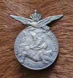 Insigna Regalista Apararea Pasiva Aviatie Varianta Mare