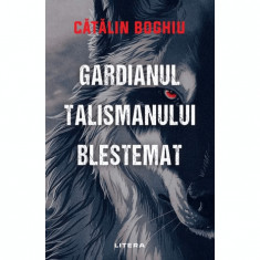 Gardianul talismanului blestemat, Catalin Boghiu foto