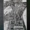 MEMORIA. REVISTA GANDIRII ARESTATE numarul 10