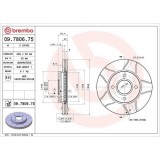 Set disc frana Ford Fiesta Box/Liftback (Jv) 05.98-08.03, Fiesta Box (J5 J3) 02.96-, Fiesta 4 (Ja Jb) 08.95-06.06, Fiesta 5 (Jh Jd) 11.01-12.14, Fies, BREMBO