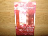 VANATORII DE FULGERE -KEN MACLEOD