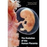 The evolution of the human placenta