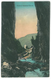 3319 - Defileul BISTRITEI, Valcea, Romania - old postcard - unused, Necirculata, Printata