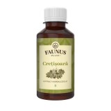 Tinctura de Cretisoara pentru sistemul endocrin feminin, 200ml, Faunus Plant