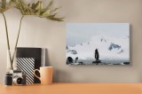 Tablou Canvas, "Pinguini &icirc;n peisaj polar &icirc;nghețat", Pinguin, Gheață, Munte, Cer, Ocean, Peisaj, Antarctic, Rocă, Zăpadă, Natură., 39 x 26 cm, CMCLASS