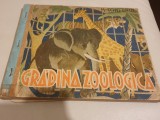 GRADINA ZOOLOGICA - M. TONEGHIN , ILUSTRATII DE DEM. DEMETRESCU - 1947