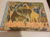 GRADINA ZOOLOGICA - M. TONEGHIN , ILUSTRATII DE DEM. DEMETRESCU - 1947