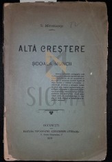 ALTA CRESTERE - SCOALA MUNCII foto