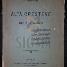 ALTA CRESTERE - SCOALA MUNCII