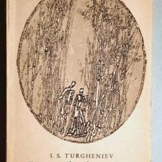 Un cuib de nobili - I. S. Turgheniev