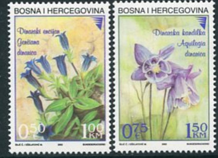 BOSNIA 2002 FLORI