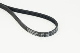 Curea transmisie cu caneluri MAN Tgl I, Tgl II, Tgm I, Tgm II Motor 10.180, 10.190, 10.220, 10.250, 12.180, 12.190, 12.220, 12.250, 12.290, 13.250,