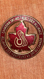 Cumpara ieftin CANADIAN SKI INSTRUCTORS&#039;ALLIANCE/34 mm./ STARE BUNA