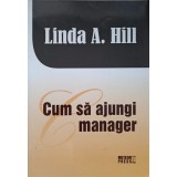 CUM SA AJUNGI MANAGER-LINDA A. HILL-236653