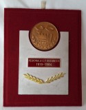 CFR - Regionala Cai Ferate Bucuresti 1919-1984, placheta deosebita medalie rara