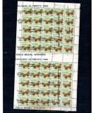 Guyana 1988 - Fluturi, supratipar medalii Olimpice Calgary, coala cu eroare la tipar