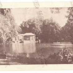 4884 - BUCURESTI, Cismigiu Park and Lake, Romania - old postcard - unused