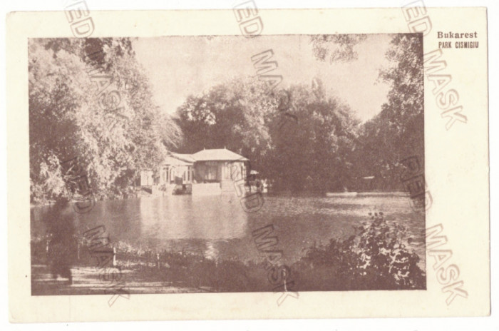 4884 - BUCURESTI, Cismigiu Park and Lake, Romania - old postcard - unused