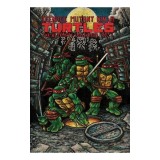 Teenage Mutant Ninja Turtles: The Ultimate Collection, Vol. 1