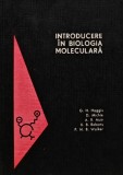 Introducere in Biologia Moleculara, G.H. Haggis, 1968, Editura Stiintifica, 476 pagini, Coperta Cartonata, Stare Foarte Buna