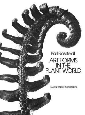 Art Forms in the Plant World foto