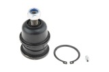 Rotula brat suspensie Mitsubishi Carisma Da 1995-1999, Volvo S40, V40 1995-, Fata, Inferior, NTY ZSD-MS-008