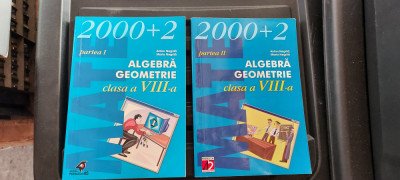 ALGEBRA GEOMETRIE CLASA A VIII A PARTEA I SI II - ANTON NEGRILA , PARALELA 45 foto