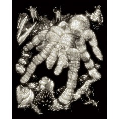 Set gravura pe folie fosforescenta Tarantula foto