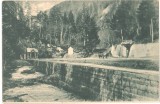 SV * Slanic Moldova * IZVORUL Nr. 1 * Drumul spre Cascada