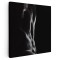 Tablou canvas nud barbat bust pe fundal negru, alb, negru 1326 Tablou canvas pe panza CU RAMA 80x80 cm